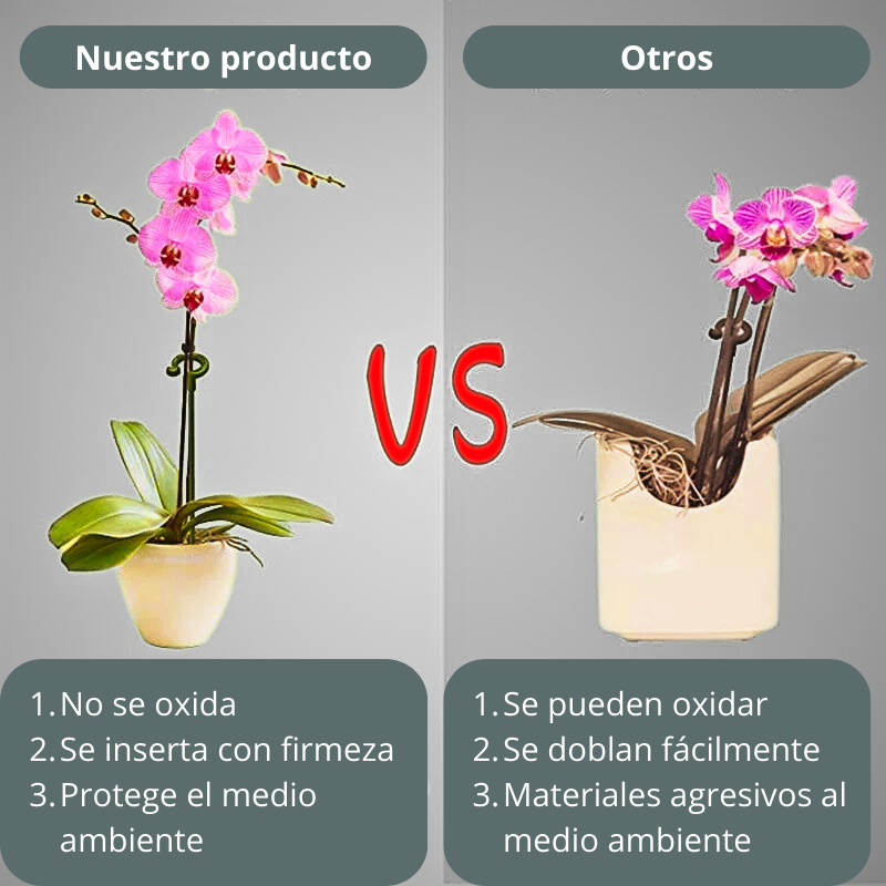 Soportes plásticos para fijación de plantas