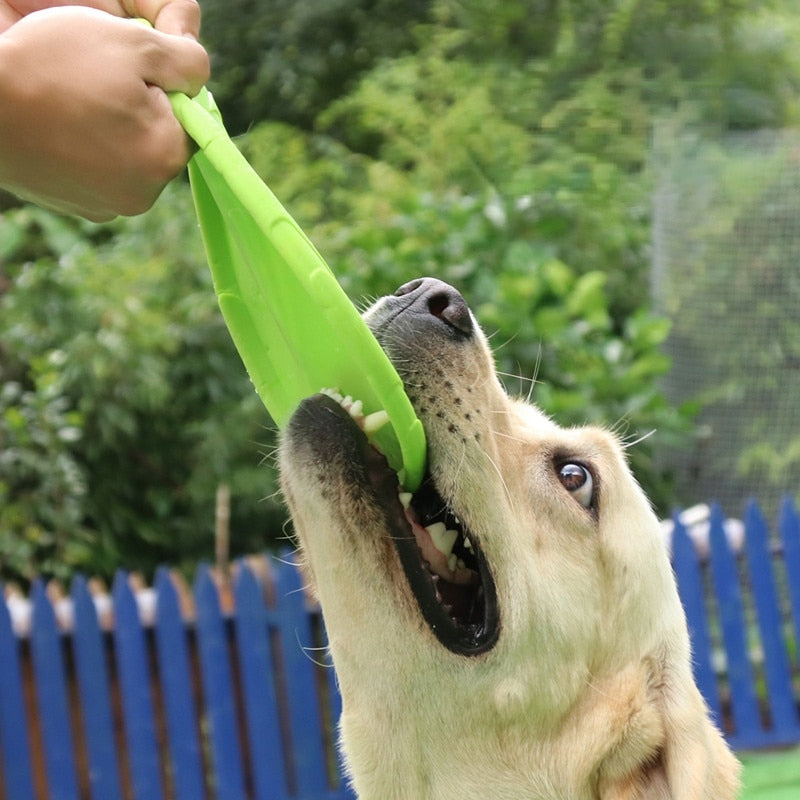 Disco volador para entretenimiento de mascotas